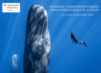 Chenini Film Festival / Botschaft Tunis