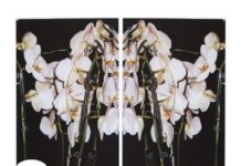 Duo-Ausstellung „Structure“ von Tamara Grčić und Julija Zaharijević / Kulturforum Belgrad