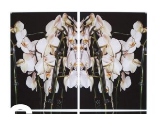 Duo-Ausstellung „Structure“ von Tamara Grčić und Julija Zaharijević / Kulturforum Belgrad