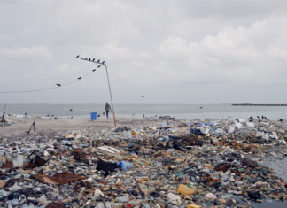 EXOGÈNE – MATTER OUT OF PLACE von NIKOLAUS GEYRHALTER / Kulturforum Paris