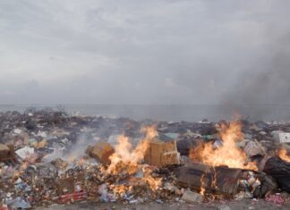 Gag Eden Umweltfestival / Kulturforum Tel Aviv