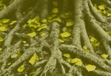 The Yellow Wallpaper / Kulturforum London