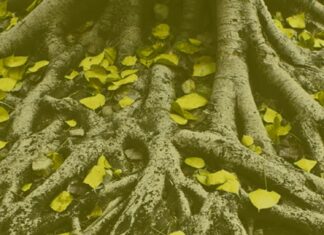 The Yellow Wallpaper / Kulturforum London