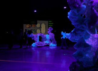 Coral Reef. Regenerative Design / Kulturforum Sarajewo