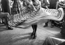 Inge Morath zum 100. Geburtstag / Kulturforum Bratislava