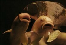 Wolf Suschitzky Photography Prize 2023 / Kulturforum London