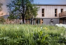 Österreichische Architekt:innen Türtscher und Telser in New Delhi / Kulturforum New Delhi