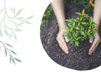 Green Care – Umwelt, Bepflanzung, Kulturlandschaft und Lebensraumverbesserung / Botschaft Tunis