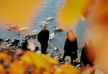 Between Feathers – Konzert / Botschaft Malta