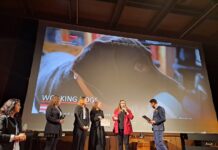 ART WITHOUT LIMIT Film Festival / Botschaft Pristina