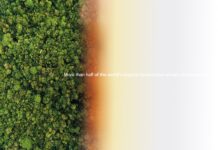 DEFENDING THE FUTURE / Kulturforum Rom