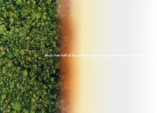 DEFENDING THE FUTURE / Kulturforum Rom