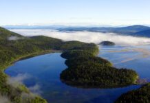 Podiumsdiskussion und Filmvorführung / Kulturforum Laibach