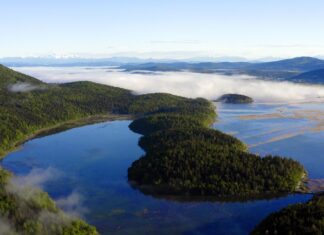 Podiumsdiskussion und Filmvorführung / Kulturforum Laibach