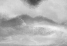 Ausstellung TENSE_INTENSE / Kulturforum Rom