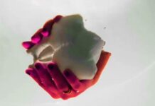 Festival zeitgenössischer Kunst und Musik in Triest / Kulturforum Mailand