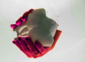 Festival zeitgenössischer Kunst und Musik in Triest / Kulturforum Mailand