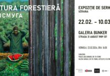 Ausstellung Serhij Bozhko / Botschaft Chisinau Das Bild zeigt die Waldstreifen des Titels der Ausstellung sowie eine Szene auf den Feldern in der Umgebung von Cherson