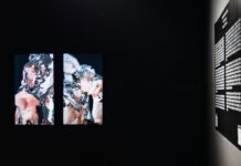 Ars Eletronica x Galeria 17 / Botschaft Pristina Das Bild zeigt zwei Bildschirme auf denen die Selbstporträts der Künstlerin gezeigt werden. Rechts vom Bild ist die Beschreibung der Ausstellung abgebildet.