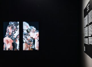 Ars Eletronica x Galeria 17 / Botschaft Pristina Das Bild zeigt zwei Bildschirme auf denen die Selbstporträts der Künstlerin gezeigt werden. Rechts vom Bild ist die Beschreibung der Ausstellung abgebildet.