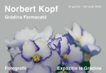 Der magische Garten / Kulturforum Bukarest Das Bild zeigt das Plakat der Veranstaltung mit Blumen im Hintergrund.