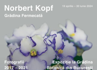 Der magische Garten / Kulturforum Bukarest Das Bild zeigt das Plakat der Veranstaltung mit Blumen im Hintergrund.