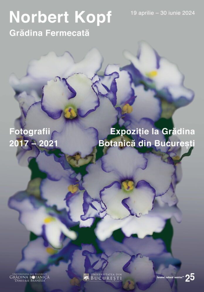 Das Bild zeigt das Plakat der Veranstaltung mit Blumen im Hintergrund.