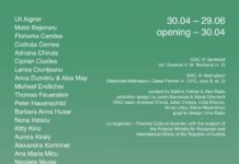 Touch Nature / Kulturforum Bukarest Das Bild zeigt das Plakat der Veranstaltung vor einem grünen Hintergrund mit den Infos in weiß.