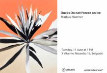 Ducks do not Freeze on Ice / Kulturforum Belgrad Es wird ein Bild von Markus Huemer gezeigt – ein Sporophyt (Pflanze mit langen Blättern) in grau mit orangem Hintergrund