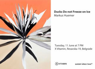 Ducks do not Freeze on Ice / Kulturforum Belgrad Es wird ein Bild von Markus Huemer gezeigt – ein Sporophyt (Pflanze mit langen Blättern) in grau mit orangem Hintergrund
