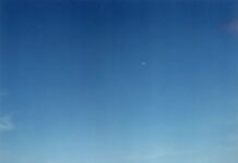 Die müden Palmen /Botschaft Seoul Das Bild zeigt eine Sandwüste unter blauem Himmel, im Zentrum die Konturen einer Palme scherenschnittartig ausgespart