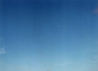 Die müden Palmen /Botschaft Seoul Das Bild zeigt eine Sandwüste unter blauem Himmel, im Zentrum die Konturen einer Palme scherenschnittartig ausgespart