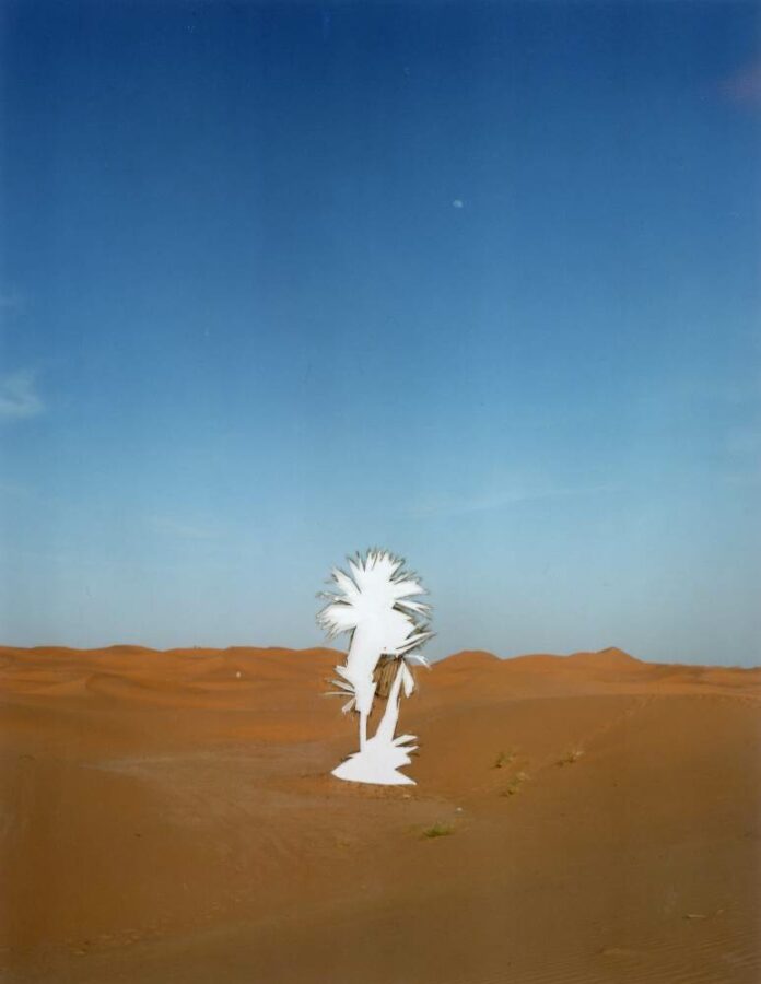 Das Bild zeigt eine Sandwüste unter blauem Himmel, im Zentrum die Konturen einer Palme scherenschnittartig ausgespart