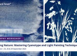 Fotografie Workshop und Ausstellung mit Sabine Maier / Kulturforum Kairo Das Bild zeigt den Veranstaltungsflyer mit dem Titel „Illuminating Nature: Mastering Cyanotype and Light Painting Techniques“. Im Hintergrund sind verschiedene Cyanotype Arbeiten von Sabine Maier abgebildet.