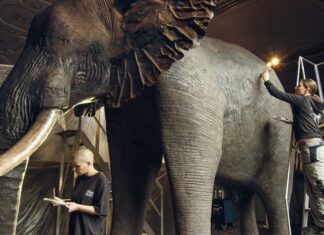 Archiv der Zukunft / Kulturforum Bern Das Bild zeigt Arbeiten im Naturhistorischen Museum Wien. Zwei Präparatorinnen arbeiten an einem Elefanten.