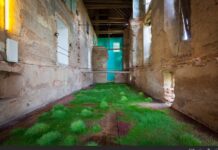 Longing for Future/ Botschaft Seoul Martin Roth, Installationsansicht, Schloss Kalsdorf, 2012, Galerie-Reinisch Contemporary, Innenansicht eines Gebäudes mit nackten rohen Wänden, das Parterre mit saftigen Grasbüscheln besetzt