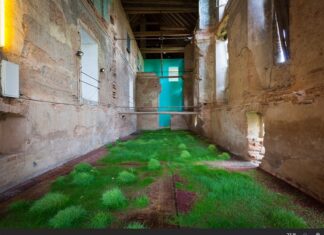 Longing for Future/ Botschaft Seoul Martin Roth, Installationsansicht, Schloss Kalsdorf, 2012, Galerie-Reinisch Contemporary, Innenansicht eines Gebäudes mit nackten rohen Wänden, das Parterre mit saftigen Grasbüscheln besetzt