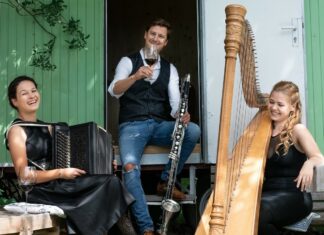 Diatonische Expeditionen / Kulturforen New York, Washington und Ottawa Das Bild zeigt die drei österreichischen Musiker Theresa Lehne mit Harfe, Katharina Baschinger mit steirischer Knopfharmonika und Alexander Maurer mit Bassklarinette.