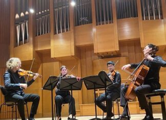 Konzert „Danube Sounds“/ Generalkonsulat München Das Bild zeigt das Ensemble beim animierten Spiel.