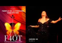 Divas und Genies / Kulturforum Mexiko Das Bild zeigt auf der linken Seite den Werbeflyer, während auf der rechten Seite ein Bild von Opernsängerin Anabell Garfio Méndez während der Aufführung zu sehen ist. Sie trägt ein lila-schwarzes Kleid, das mit Pailletten geschmückt ist. In der Mitte des Werbeplakats befindet sich eine Violine, aus der ein Schmetterling herausragt. Über und unter der Violine sind Titel des Konzerts und Festivals gelistet.