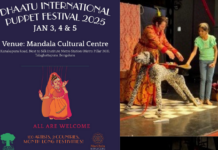 Puppentheater / Kulturforum New Delhi Das Bild zeigt eine Collage vom Auftritt beim Festival.