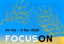 Focus on Ukraine / Kulturforum Budapest Das Bild zeigt das Logo von „Focus on Ukraine“ in den ukrainischen Nationalfarben