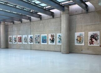 Reduce – Reuse – Rethink / Botschaft Ankara Das Bild zeigt einige der von Ulrike Köb ausgestellten Fotografien der Ausstellung Reduce – Reuse – Rethink. Auf den Bildern werden Abfall und Alltagsgegenstände ästhetisch und farblich harmonisch angeordnet gezeigt.