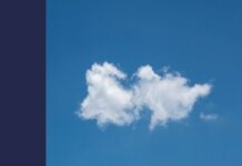 Madalina Diaconu: The Weather Project in Aesthetics and Arts / Kulturforum Bratislava Aesthetics of Weather cover