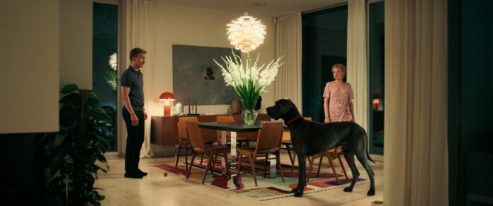 Das Bild zeigt eine Frau, einen Mann und eine schwarze Dogge in einem eleganten Esszimmer.