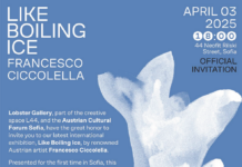 Like Boiling Ice / Kulturforum Sofia Das Bild zeigt das Plakat der Ausstellung