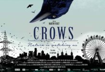 DCEFF: CROWS – Nature is Watching Us / Kulturforum Washington Filmposter