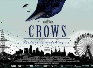 DCEFF: CROWS – Nature is Watching Us / Kulturforum Washington Filmposter
