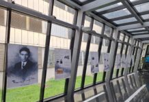 Kulturtage in Pula / Kulturforum Zagreb Das Bild zeigt Plakate von der Kafka-Ausstellung in der Bibliothek