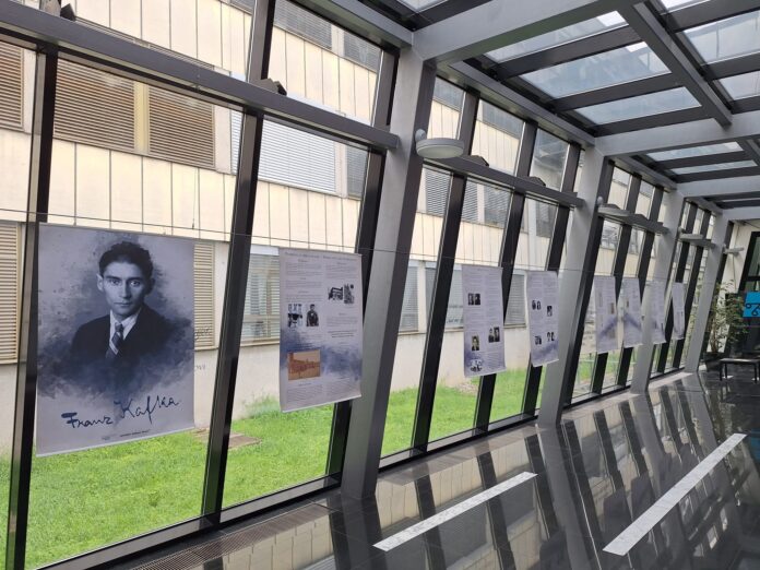 Das Bild zeigt Plakate von der Kafka-Ausstellung in der Bibliothek